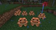 Orange frogs appear in myriad temperate biomes (Image via Mojang)